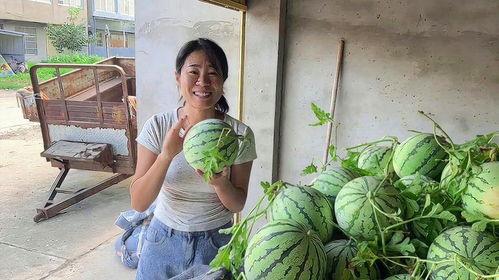 乡下吃瓜真实图文视频,揭秘乡村夏日吃瓜盛况