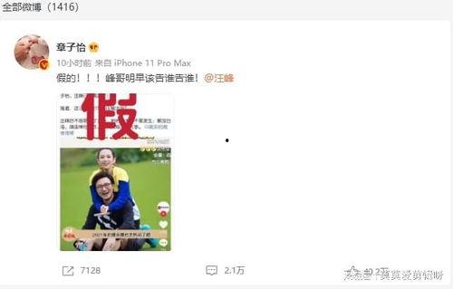 吃瓜视频大户人家,大户人家背后的故事