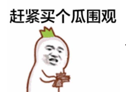 吃瓜群众几点播的视频,揭秘“吃瓜群众几点播”热门视频背后的故事