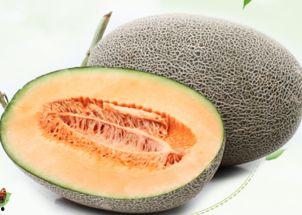 秀珍菇吃哈密瓜好吃吗视频,口感升级！