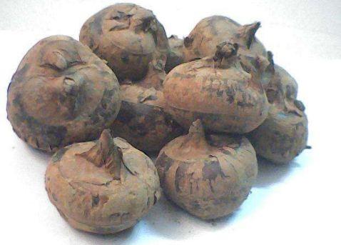 汶上吃瓜视频,揭秘当地特色美食背后的故事