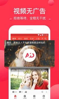 吃瓜爆料缅甸视频下载,吃瓜爆料视频下载背后的真相