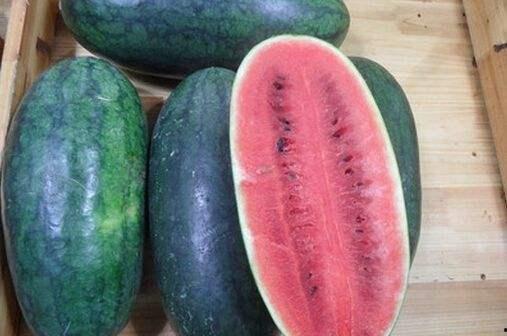 黑网料吃瓜视频,揭秘网络背后的暗流涌动