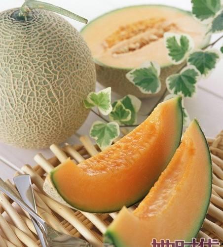 鹅吃哈密瓜视频大全,哈密瓜盛宴视频大盘点