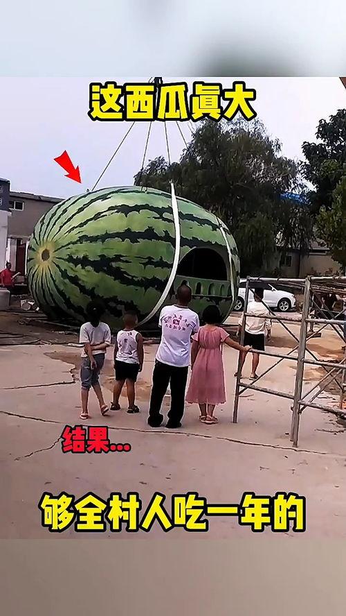 搞笑图文吃瓜视频大全,让你笑到肚子疼