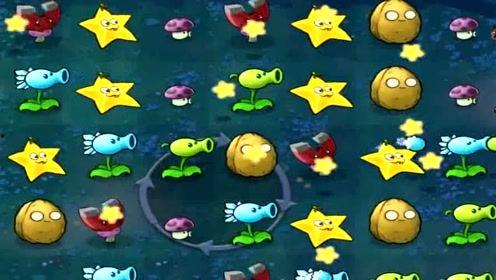 吃西瓜两只瓜儿歌视频,夏日清凉趣味盎然