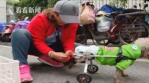 吃瓜狗车祸视频大全最新,瞬间还原事故现场