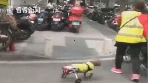 吃瓜狗车祸视频大全最新,瞬间还原事故现场