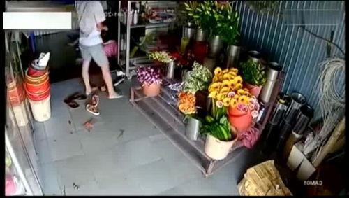 花店女老板 吃瓜视频大全,揭秘娱乐圈幕后趣闻