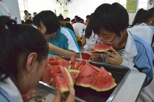 食堂教室吃瓜群众视频,食堂教室吃瓜群众视频揭秘校园生活百态
