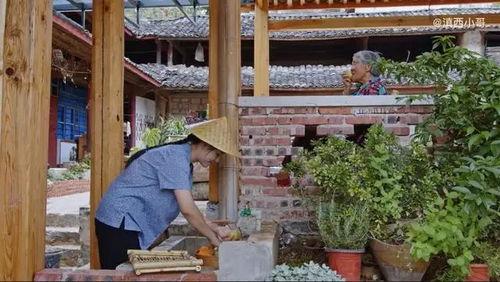 广职凉亭吃瓜视频,校园生活趣味瞬间