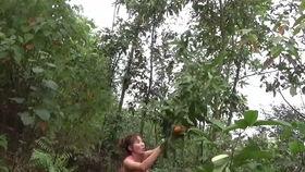 摘西瓜现场吃瓜视频大全,摘西瓜视频大全精彩回顾