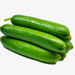 绿树吃瓜的视频下载