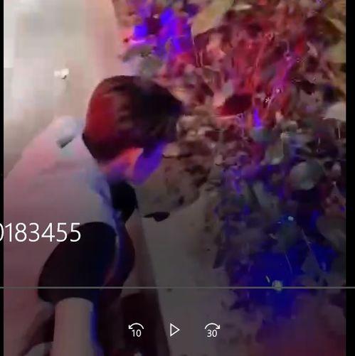 厦门吃瓜银行事件视频,一场网络热议的银行服务风波