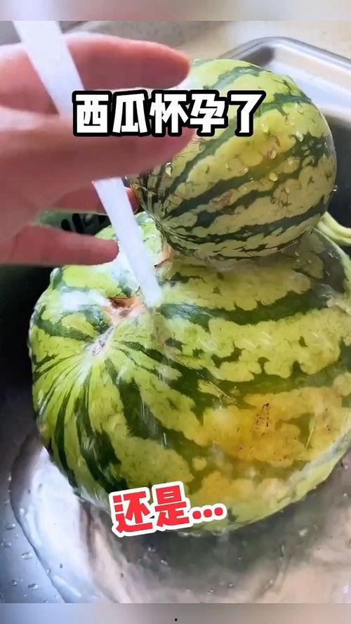 超市吃瓜搞笑视频,瓜农与顾客的欢乐对决