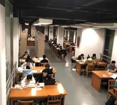 学生食堂吃瓜视频大全集,学生食堂吃瓜视频大全集回顾