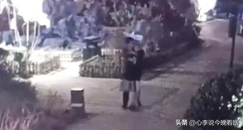 老街吃瓜视频完整,揭秘街头美食背后的故事与风情