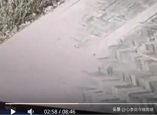 老街吃瓜视频完整,揭秘街头美食背后的故事与风情