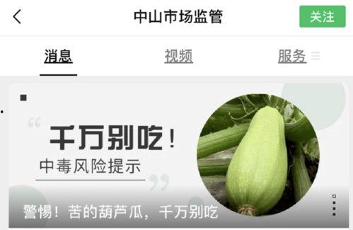 葫芦瓜要放糖吃吗视频,糖醋葫芦瓜，美味升级！