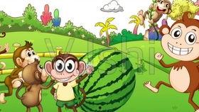 讲猴子吃瓜的视频,趣味视频揭秘猴子吃瓜瞬间