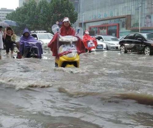 河南一家吃瓜事件视频,真相与争议交织