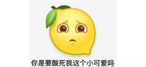 吃鸡抠鼻瓜视频素材