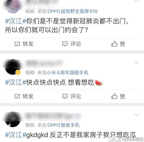 吃瓜爆料全集视频大全,揭秘娱乐圈幕后真相