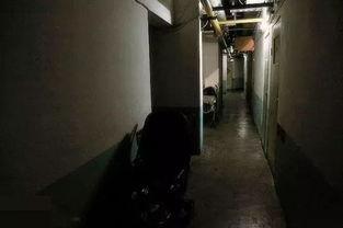 河北地下室吃瓜事件视频