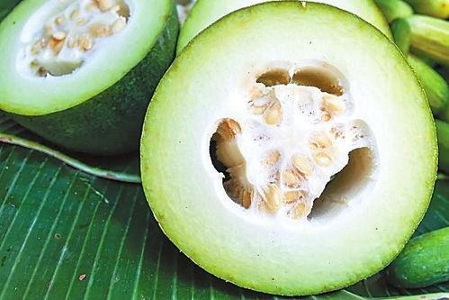 100种花式吃瓜视频