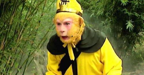 悟空吃佛手瓜视频在线观看,趣味烹饪大揭秘！