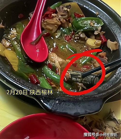 刘大瓜吃牛鞭火锅视频,辣味与刺激并存！