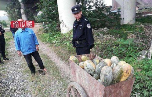 汝南县吃瓜事件视频最新