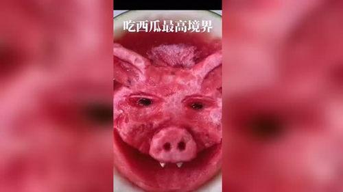 吃瓜视频最高境界,揭秘娱乐圈最高境界的娱乐盛宴