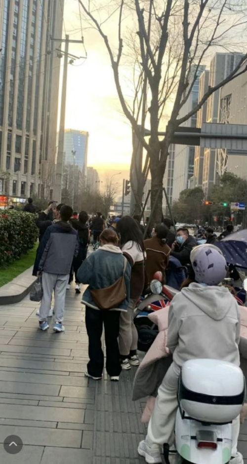 成都拍摄吃瓜事件视频,一幕引发全民热议的瞬间