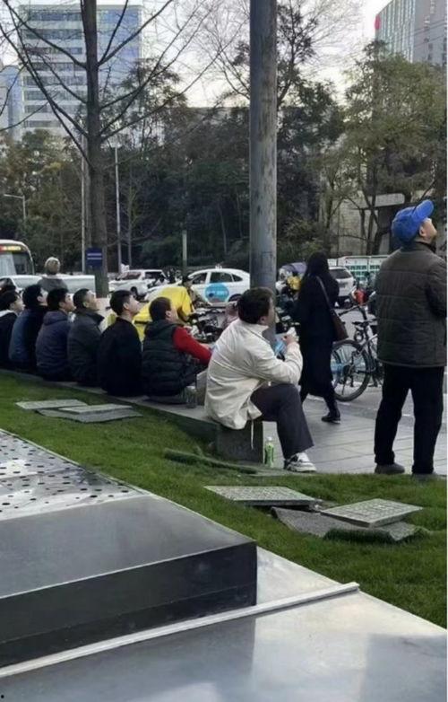 成都拍摄吃瓜事件视频,一幕引发全民热议的瞬间