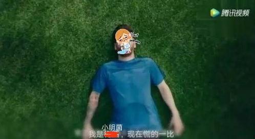 吃荷兰瓜的视频播放,视频播放带你领略瓜香四溢