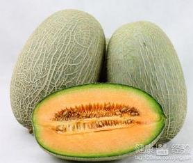 墨龟可以吃哈密瓜吗视频,探索龟类饮食新选择