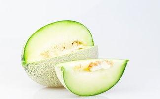 墨龟可以吃哈密瓜吗视频,探索龟类饮食新选择